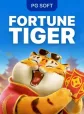 Fortune Tiger